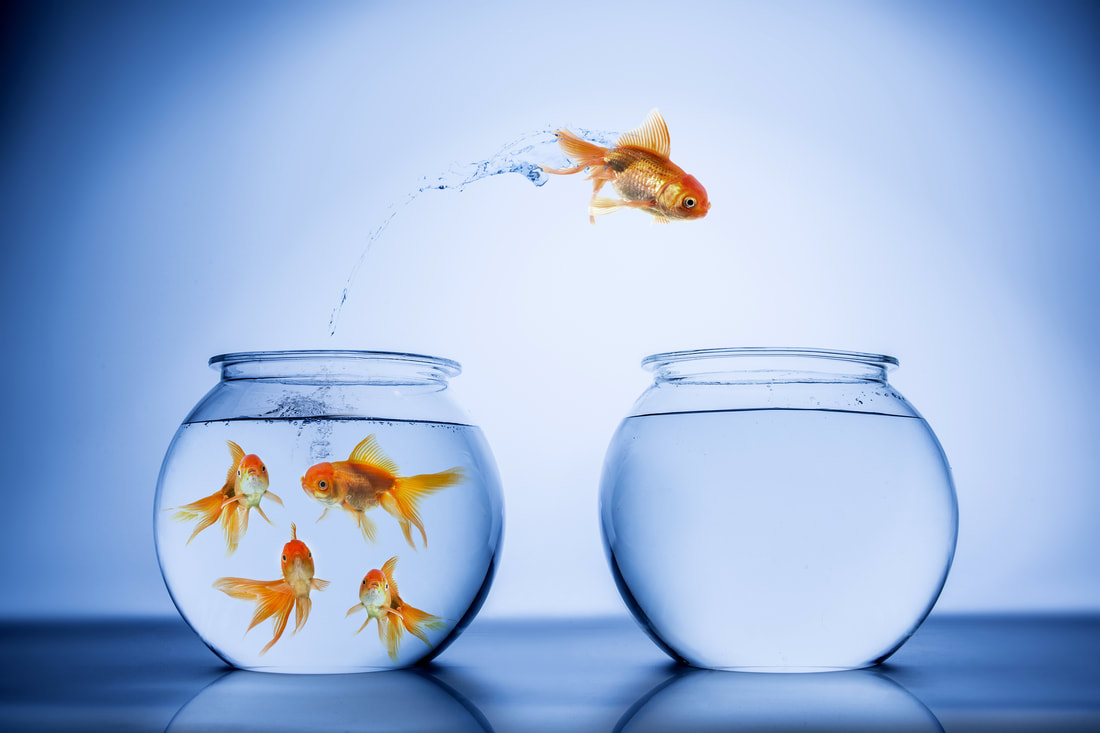 A light blue background with two clear fish bowls. One bowl has four goldfish inside, and the other has no fish. Above the two bowls is appears to be a fish that has jumped out of the fish bowl containing the other fish and it is headed to the empty fishbowl. 