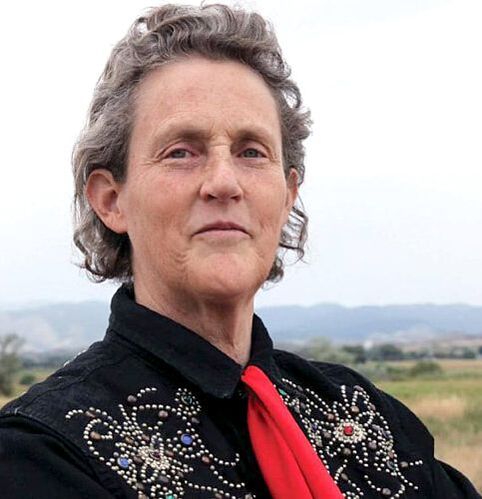 A photo of Temple Grandin. She appears to be standing in a field wearing a black denim shirt with silver, grey, blue and red studs; along with a red ascot. Temple has fair skin, and gray hair brushed back to above the shoulders.